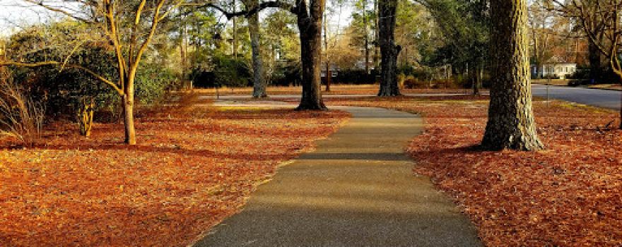 Hammond Park
