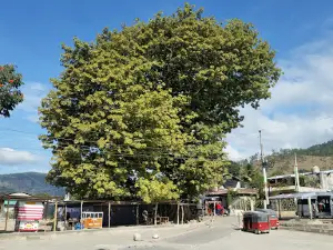 RÍO BLANCO Park