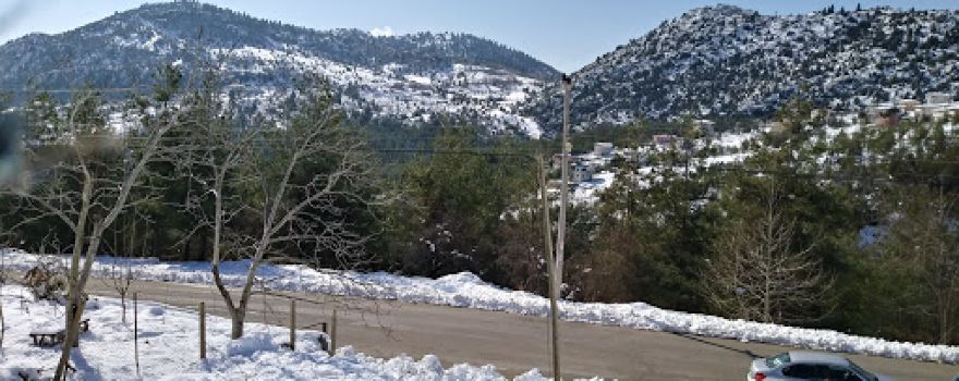Özel Toros İlkokulu Hatıra Ormanı