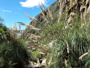 Camping Anjullón