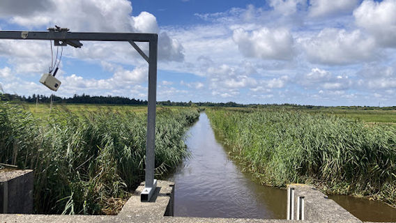 Skjern
