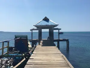 Beach Walk Wayabula