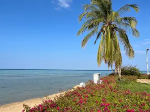 Bay La Sun Park