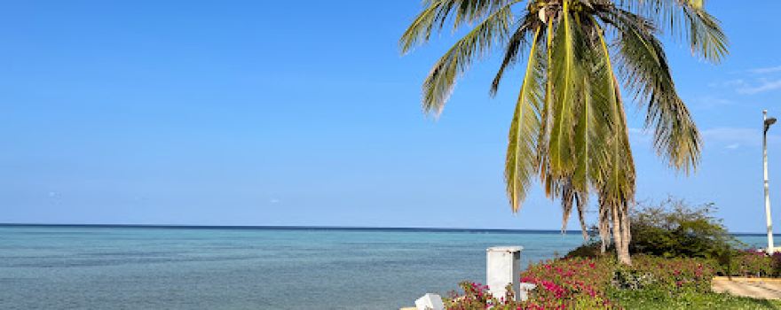 Bay La Sun Park