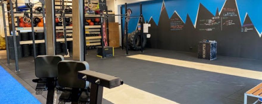 Aspic Training & Fight