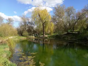 Healing springs