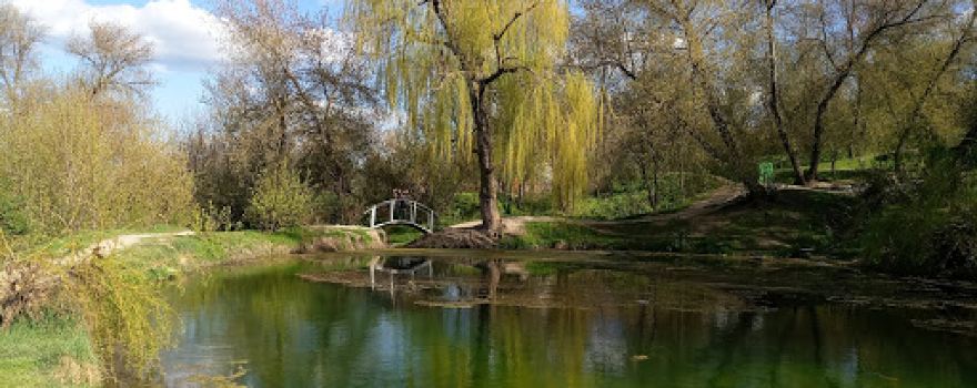 Healing springs