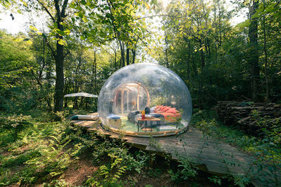 Future Is Nature - Playground