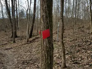 Lee S. Jones Park