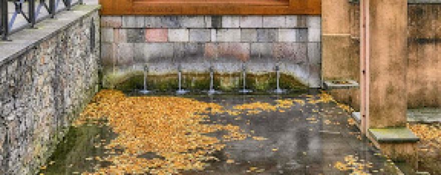 Fuente Santarúa
