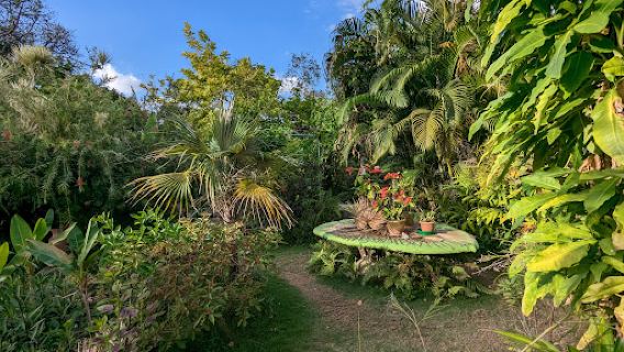 Barney's Botanical Garden Jamaica