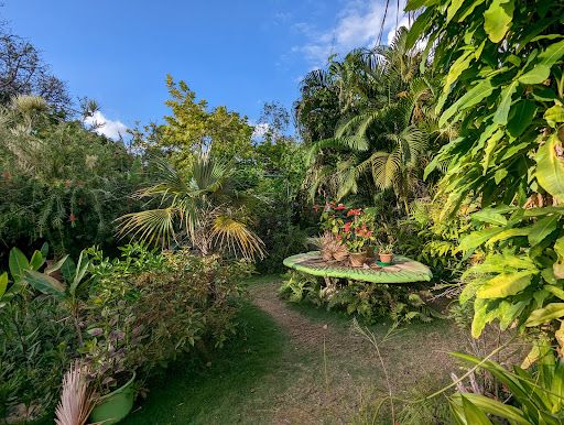 Barney's Botanical Garden Jamaica