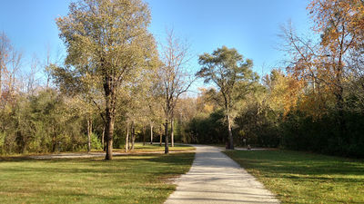 Lippold Park