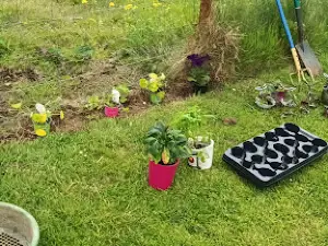 Glen Garth Garden Centre