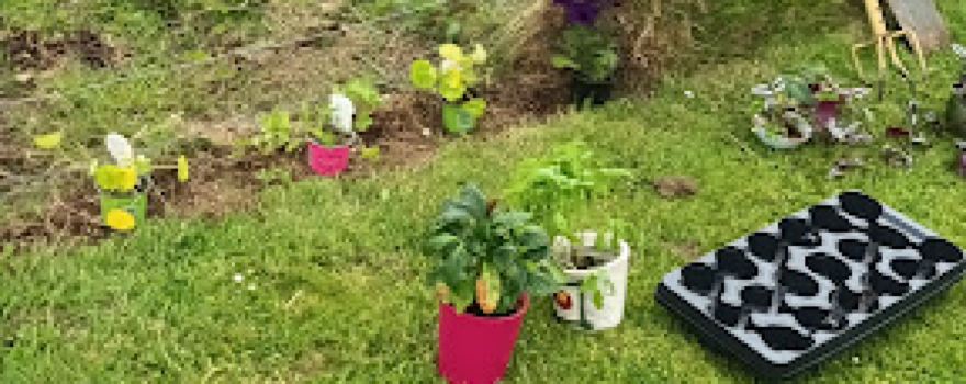 Glen Garth Garden Centre