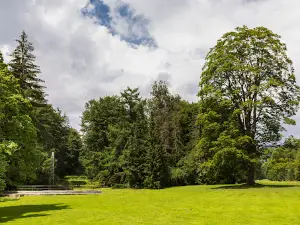 Anglický park pri kaštieli Andrássyovcov