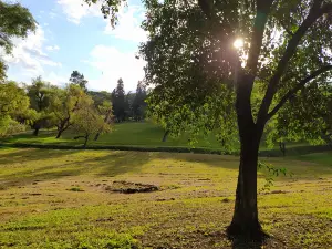 Guillermina Park