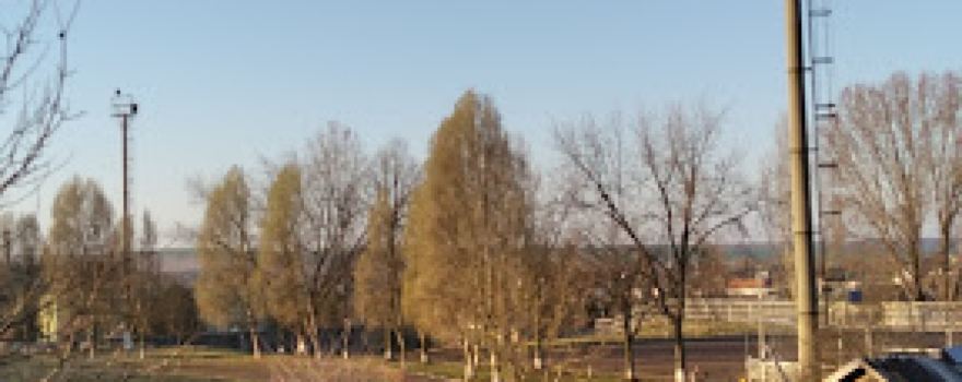 Stadionul Florești