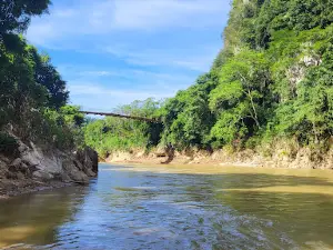 Hang Phi Cave