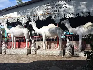 Bongobir Osmani Shishu Uddan