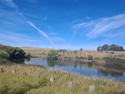 Shannon Vale
