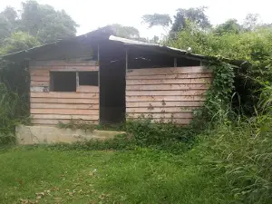Bitam Bi Kouasse