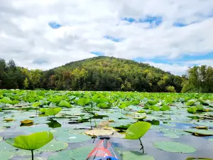 Lake Leatherwood City Park
