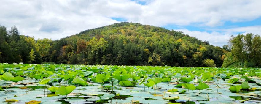 Lake Leatherwood City Park