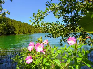 Eflani Park