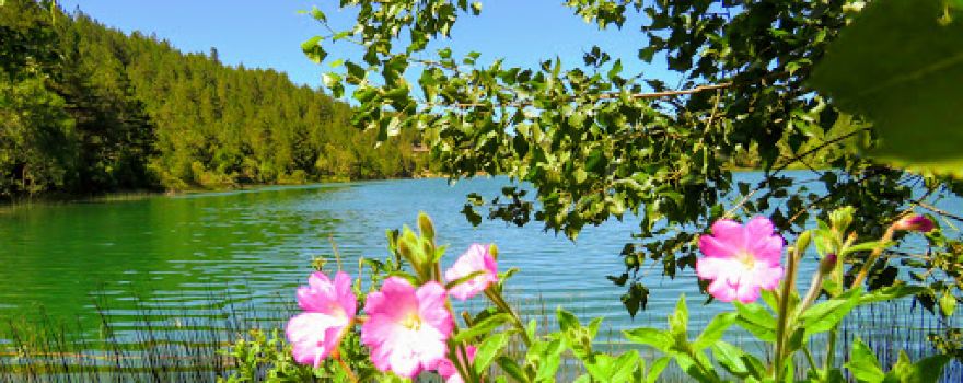 Eflani Park