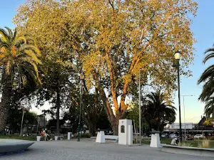 Plaza Luis Cruz Martínez (San Francisco)