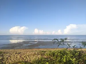 Pantai Sungai Kinjil (Pantai Pecal)