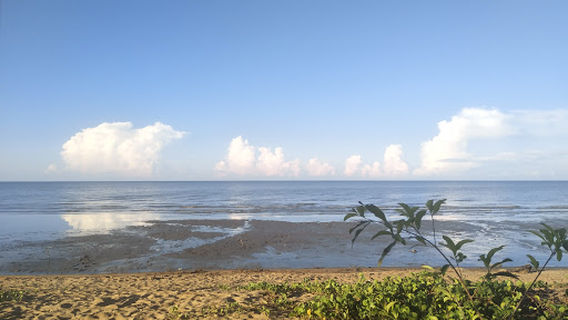 Pantai Sungai Kinjil (Pantai Pecal)