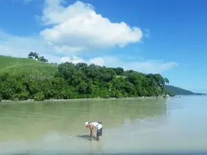 Pantai Watu Pajung