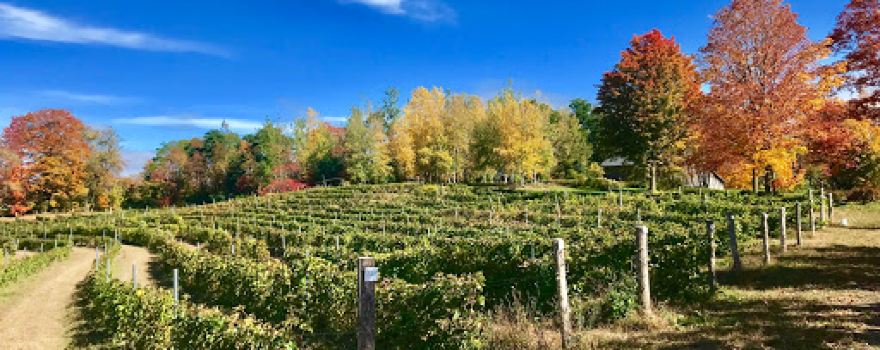 Vignoble de l'Ardennais