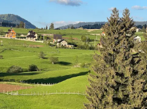 Miralem Mehić Halilovići