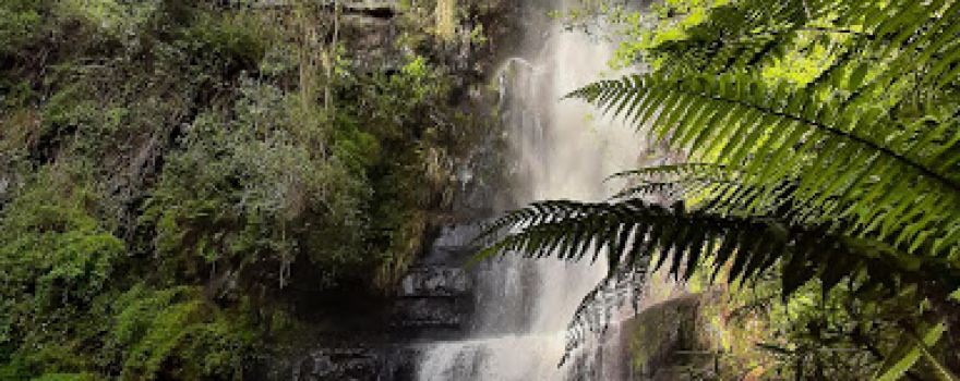 Cascada Sotaquira - Chorro la vieja