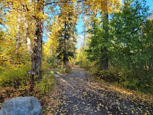 Matanuska River Park