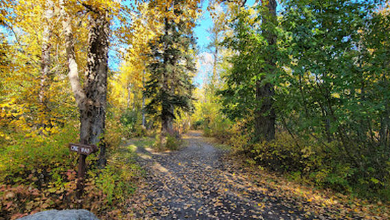 Matanuska River Park