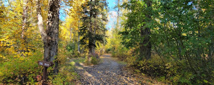 Matanuska River Park
