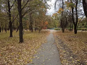 Velykyy Misʹkyy Park