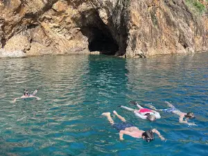 Sunshine Daydream Boat Charters