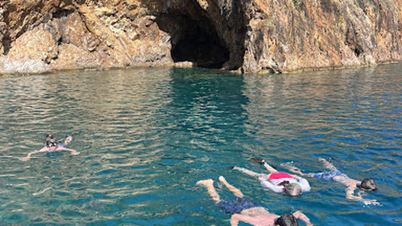 Sunshine Daydream Boat Charters