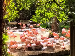 Parque Zoológico de León