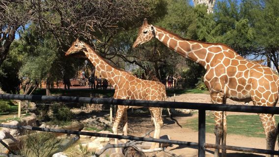 Reid Park Zoo
