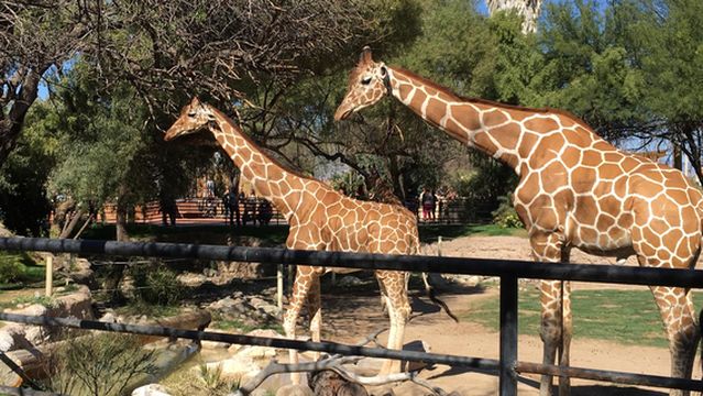 リード・パーク動物園