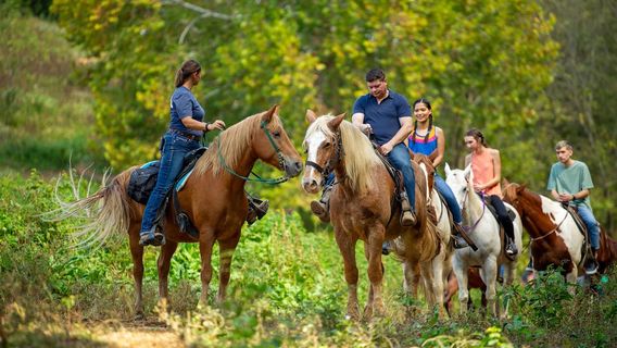 Five Oaks Riding Stables