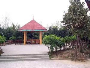 Birch Park