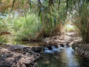 Majrase Nature Reserve