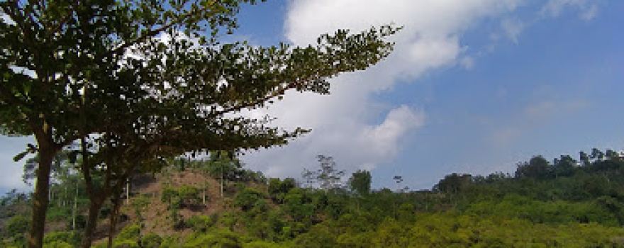 Pemandian Air Panas Pagar Alam Ulu Belu